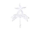 Whitewashed Cast Iron Starfish Beach Hook 8""